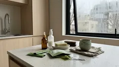 モリンガを“外と内”から取り入れると何が変わる？新シリーズの選び方を整理